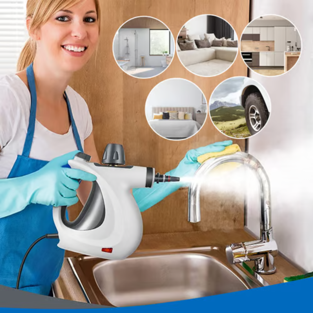 Steam Disinfection Cleaner