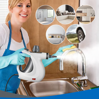 Steam Disinfection Cleaner