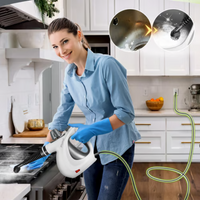 Steam Disinfection Cleaner