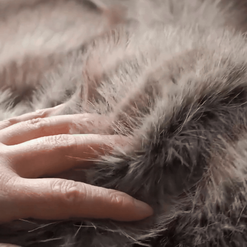 Faux Mink Blanket